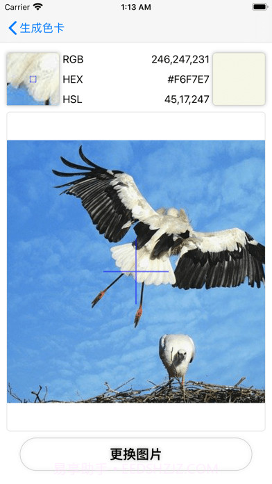 色卡生成器截图3