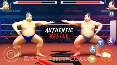 日本相扑赛截图4 日本相扑赛截图4