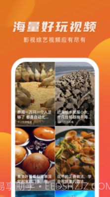 爱情岛视频截图3