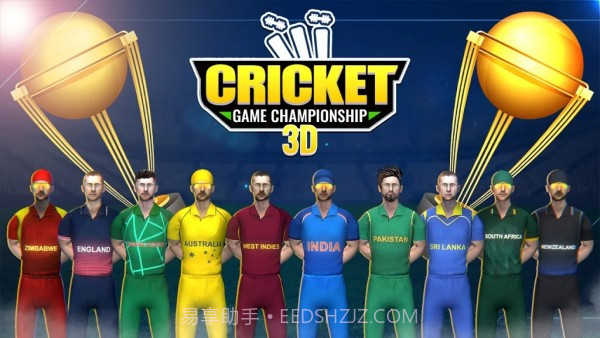 板球比赛冠军3D截图1 板球比赛冠军3D截图1