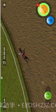 Derby Horse Quest截图2