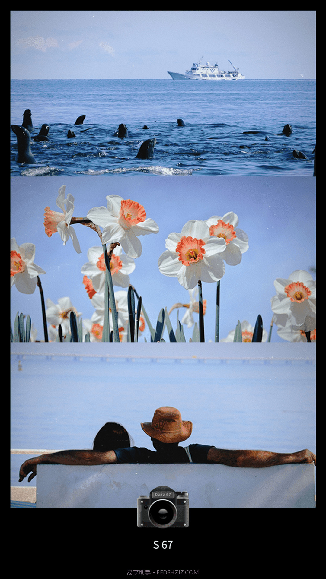 Dazz CCD相机截图3