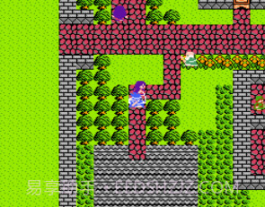 fc勇者斗恶龙3截图3