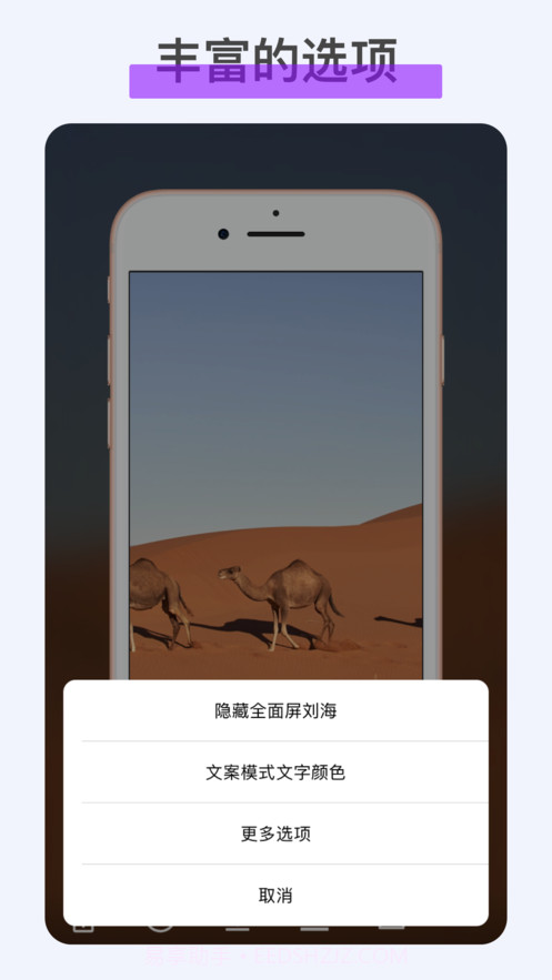 iFrame带壳截屏免费版截图3