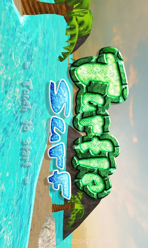 3D海龟冲浪截图1