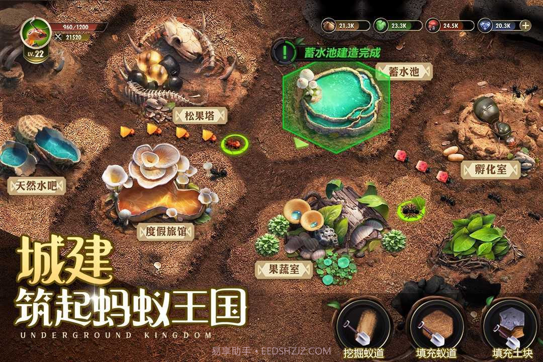 小小蚁国单机版截图3