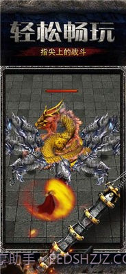 奇卡模拟器2截图2