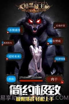 暗黑城主单机版截图5