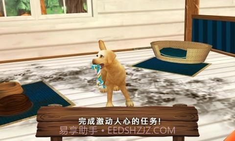 动物旅馆中文截图5