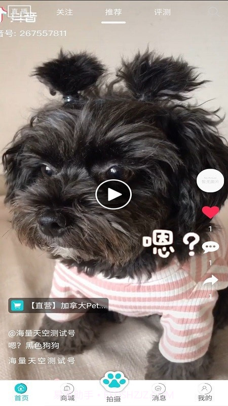 分分宠最新版截图1