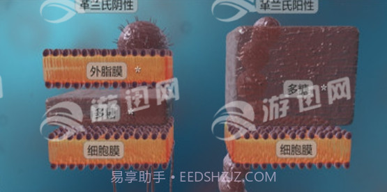 细菌互动教育最新版截图2