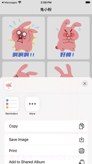 兔小粉截图1 兔小粉截图1