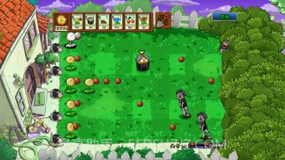 植物大战僵尸坤坤版截图2