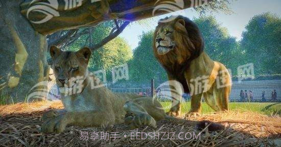 动物园之星PlanetZoo截图2