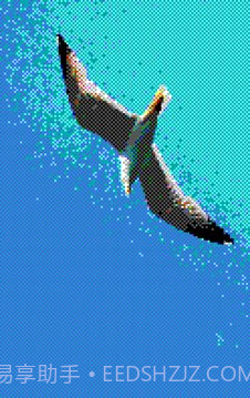 8位风格照片工坊8Bit Photo截图4 8位风格照片工坊8Bit Photo截图4