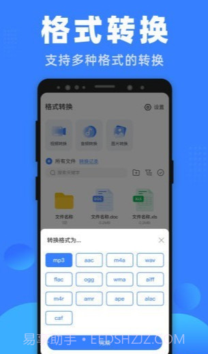 格式王官网版截图4