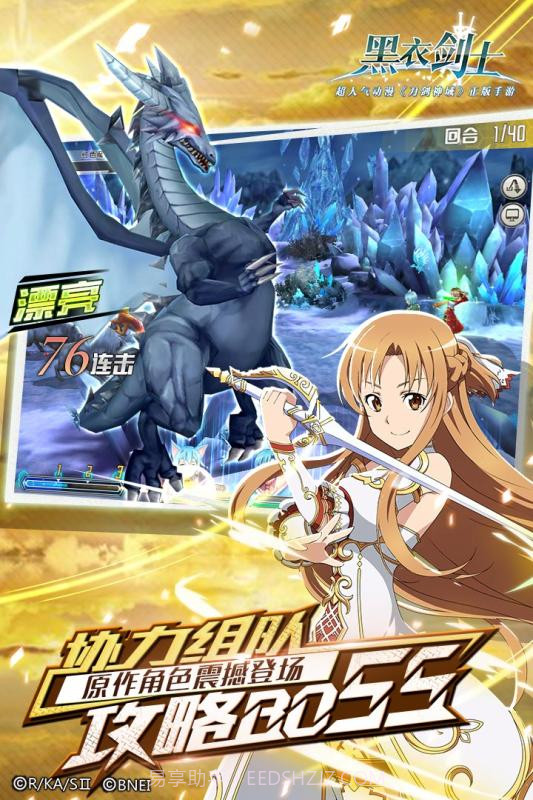 刀剑神域：黑衣剑士截图4