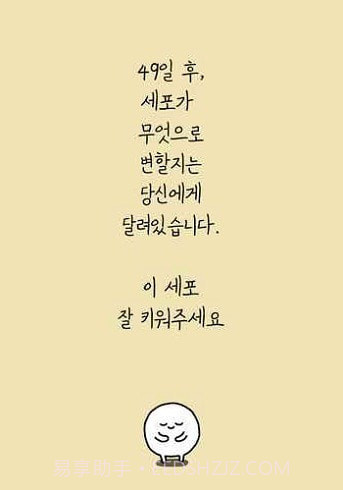 我和细胞的49天生活截图3