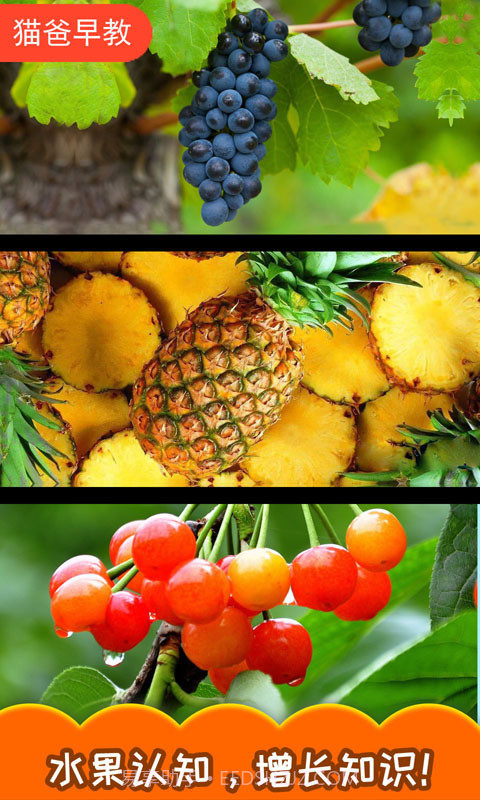 宝宝切水果截图4