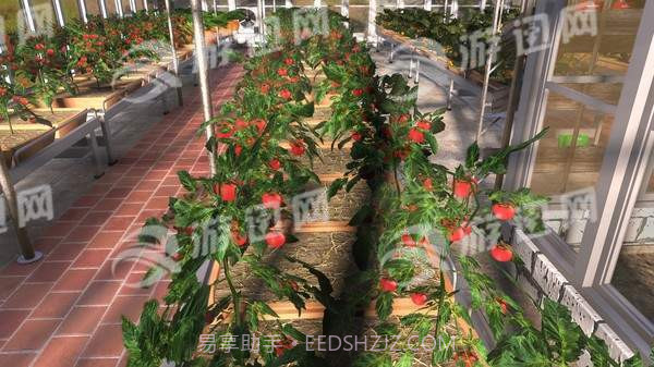 农民模拟器截图4