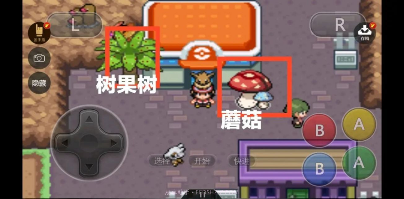 口袋妖怪绝对魂银截图2