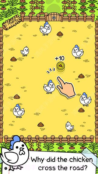 小鸡的进化截图4