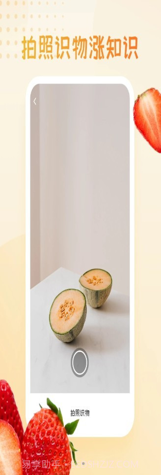 水果图片大全截图3