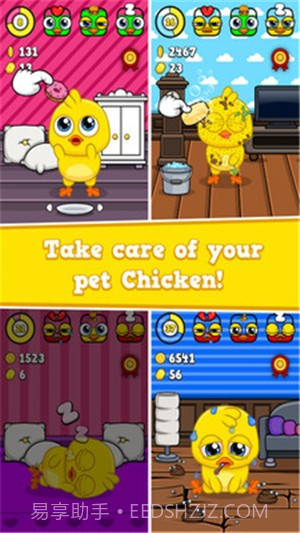 我的虚拟宠物小鸡截图1
