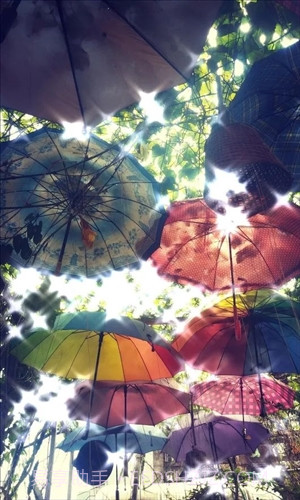 KiraDroid截图2 KiraDroid截图2