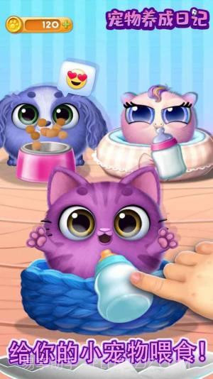 宠物养成日记单机截图1