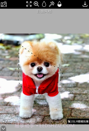 DSLR模糊效果截图2