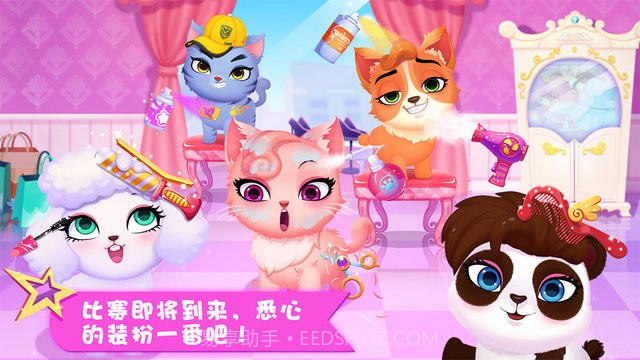 天才宠物秀截图3 天才宠物秀截图3