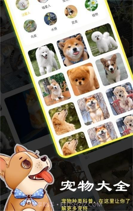 宠本本截图2 宠本本截图2