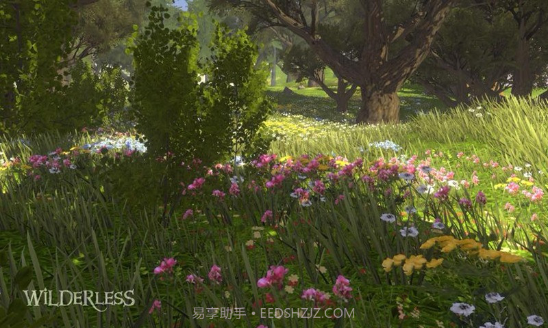 流浪荒野截图2 流浪荒野截图2