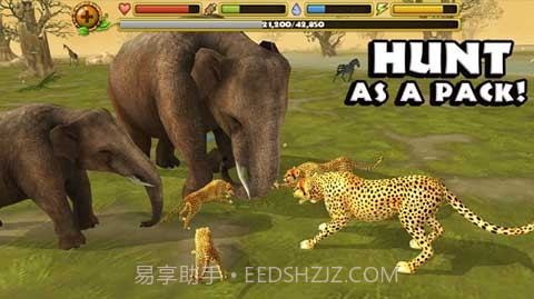 猎豹模拟器截图2 猎豹模拟器截图2