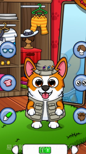 我的柯基犬截图3 我的柯基犬截图3