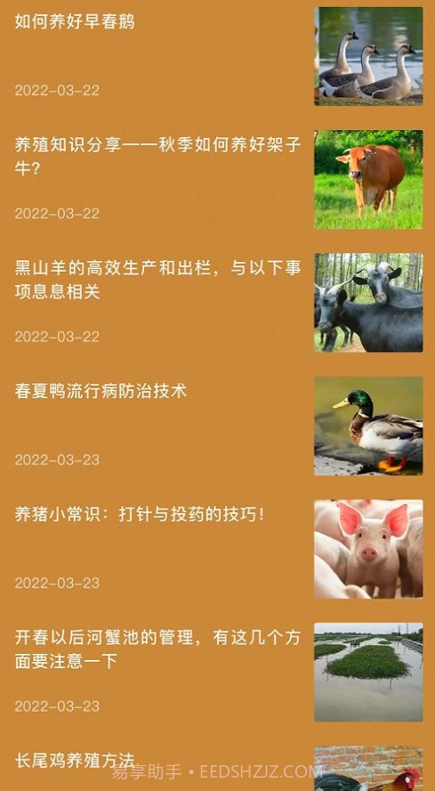 田园小院子截图3