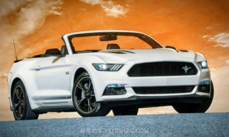 野马赛车模拟器截图3 野马赛车模拟器截图3