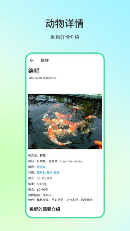 动物百科知识大全无限金币版游戏截图2 动物百科知识大全无限金币版游戏截图2