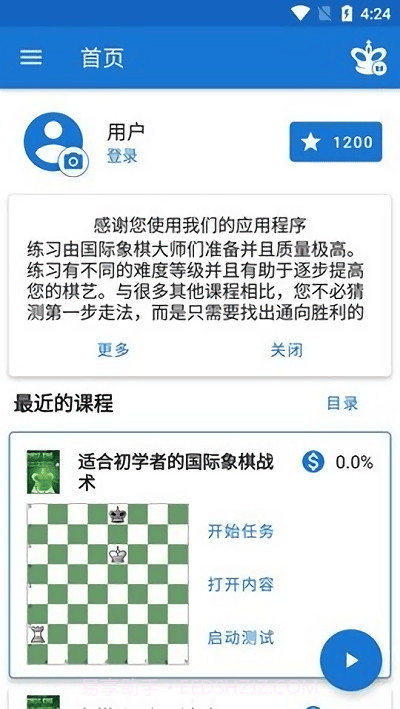 chess king截图2