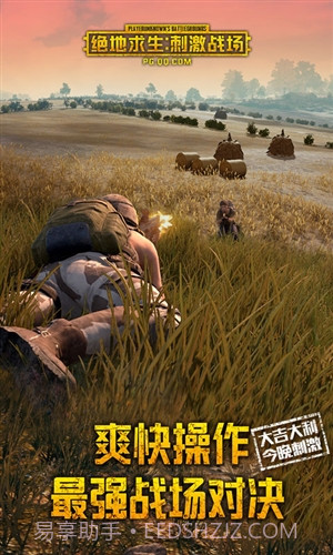 绝地求生刺激战场国际版截图3