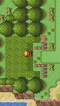 口袋妖怪：釉色截图4