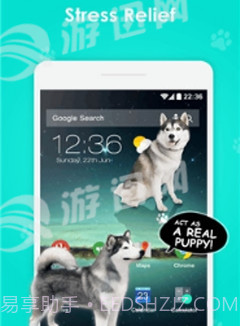 手机屏幕养狗手机版截图1 手机屏幕养狗手机版截图1