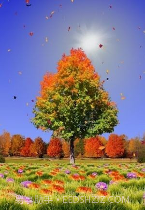 秋天动态壁纸截图1 秋天动态壁纸截图1