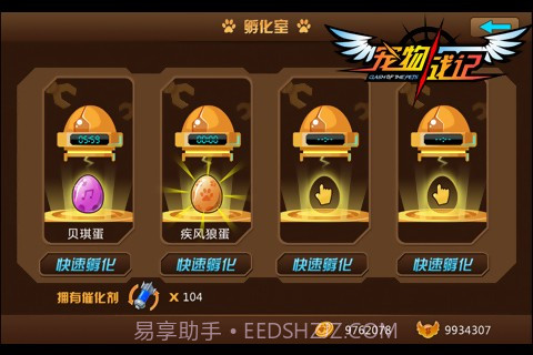 宠物战记最新版截图2