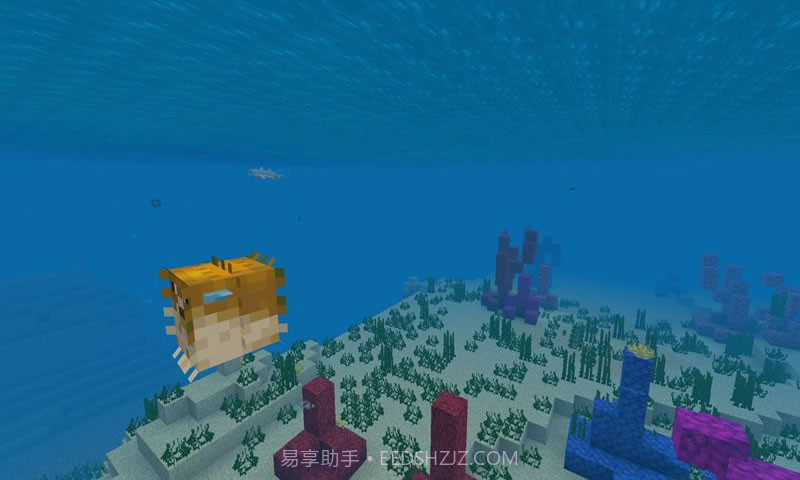 我的世界海洋免费版截图2 我的世界海洋免费版截图2