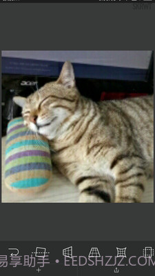 SKRWT截图3 SKRWT截图3