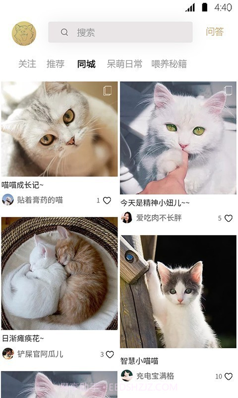 宠物伊甸园截图2 宠物伊甸园截图2