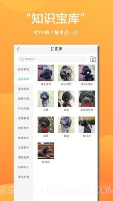狗狗Bing商城截图4