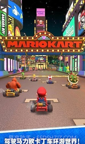 马里奥卡丁车巡回赛截图2 马里奥卡丁车巡回赛截图2